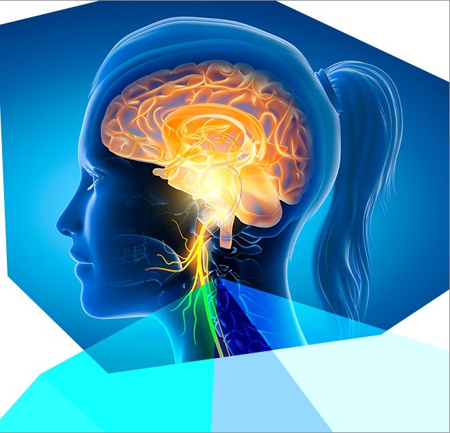 ✨ Armonización energética del sistema nervioso y del campo de conciencia
